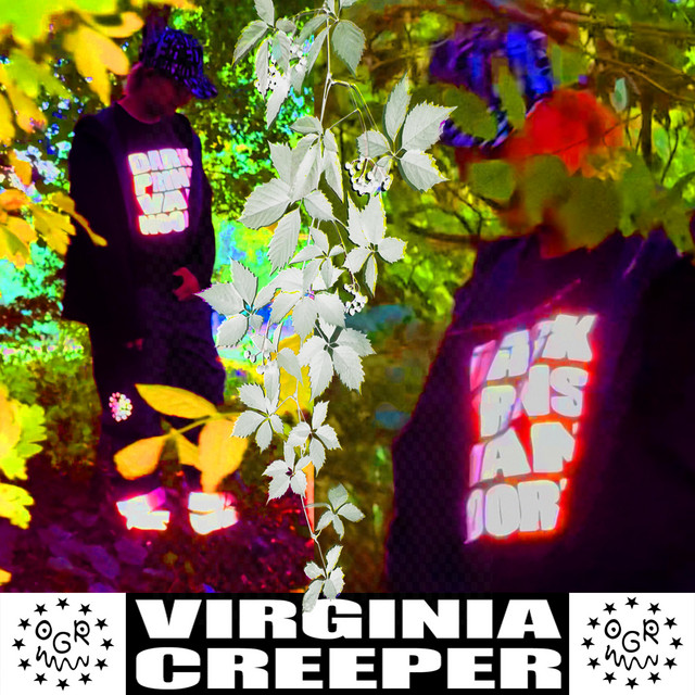 VIRGINIA CREEPER — Prins Vn